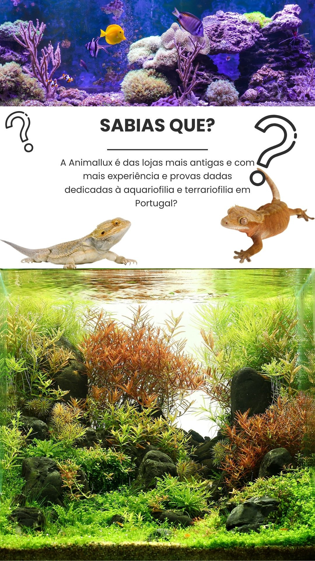 Sabias que